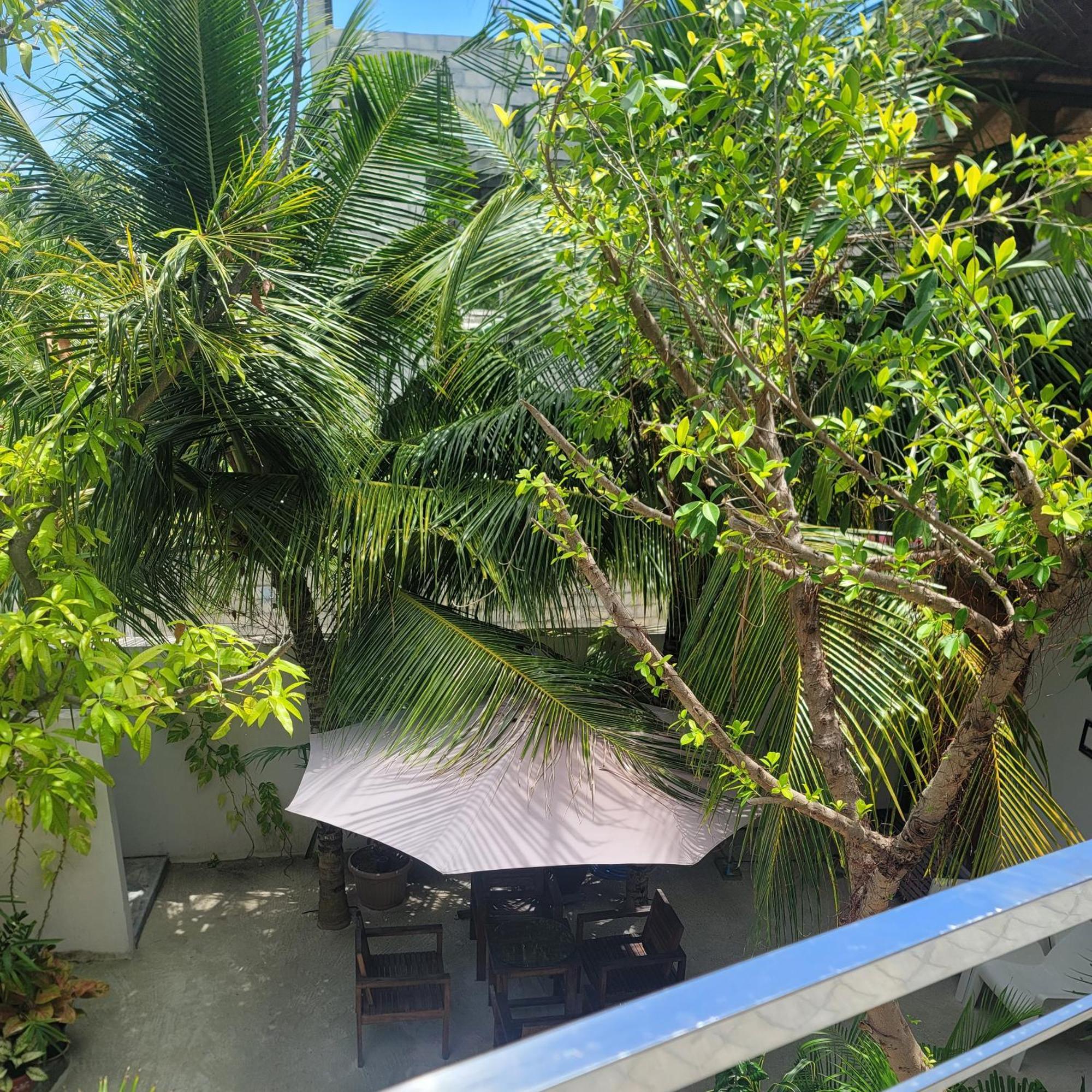 Palm Residence Rasdhoo Cameră foto